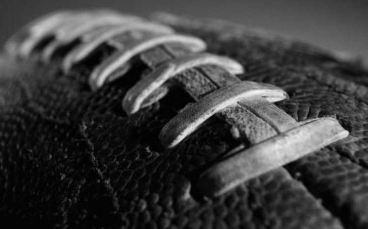 Raiders Theme screenshot #3