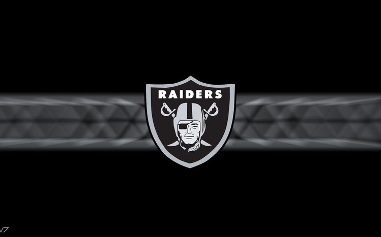 Raiders Theme screenshot #9