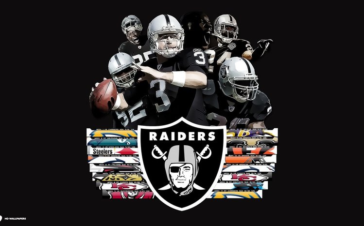 Raiders Theme screenshot #6