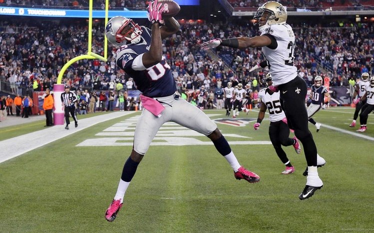 New England Patriots Theme screenshot #12