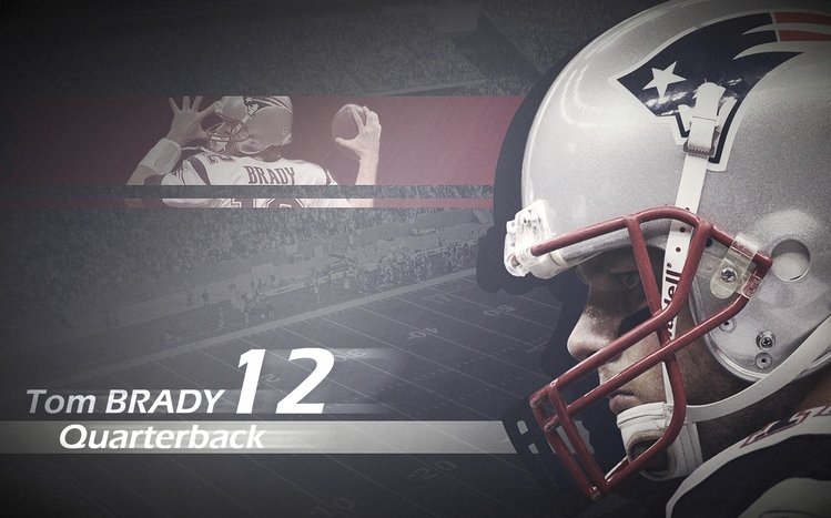 New England Patriots Theme screenshot #9