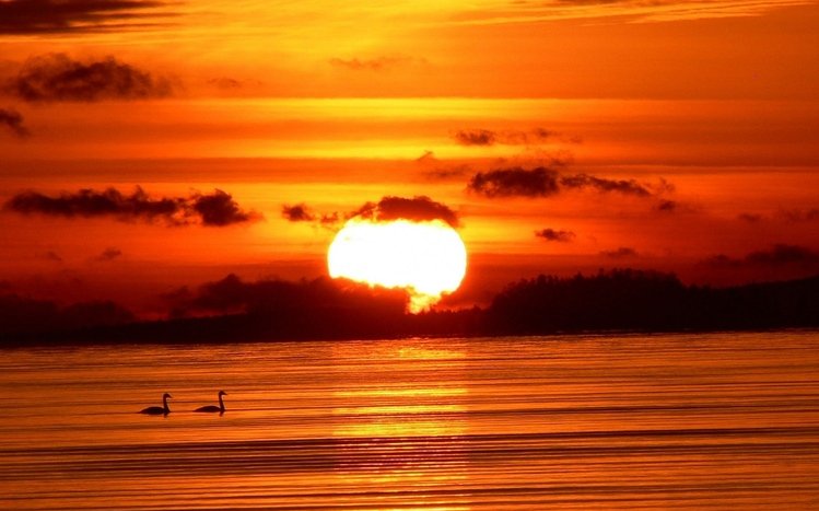 Sunset Theme screenshot #16