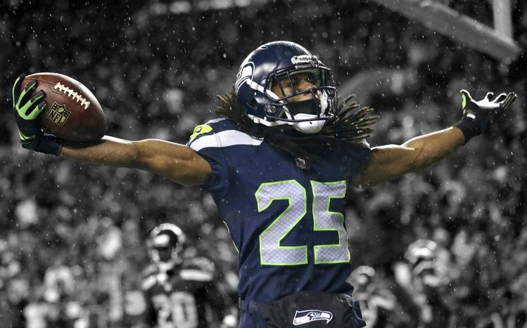 Seattle Seahawks Theme screenshot #5