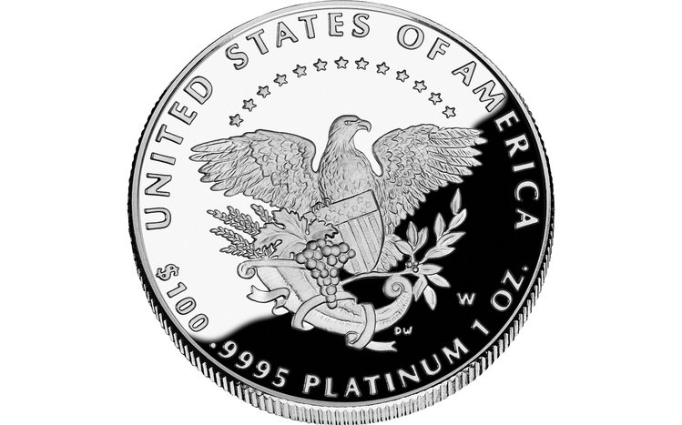 Money Theme screenshot #13