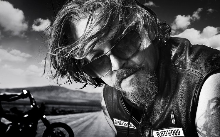 Sons Of Anarchy Theme screenshot #4