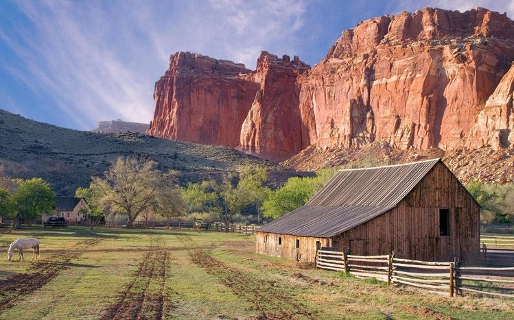 Сountry Theme screenshot #9