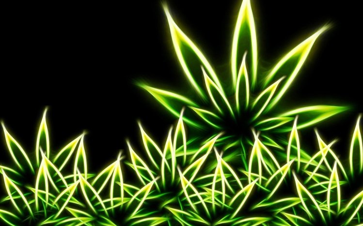 Marijuana Theme screenshot #8
