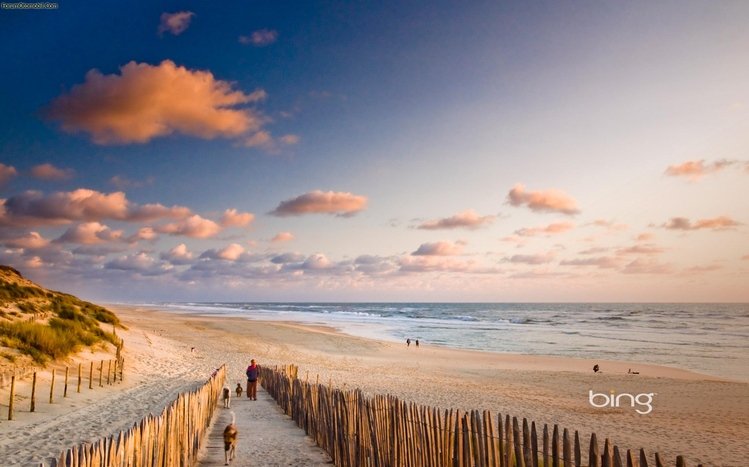 Bing Theme screenshot #17