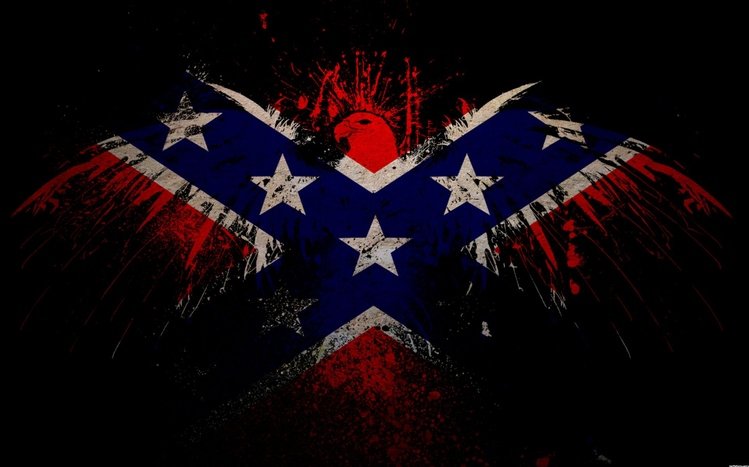 Rebel Flag Theme screenshot #11