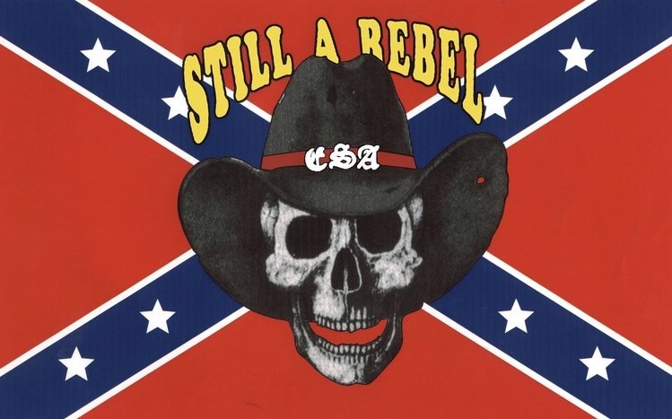 Rebel Flag Theme screenshot #1