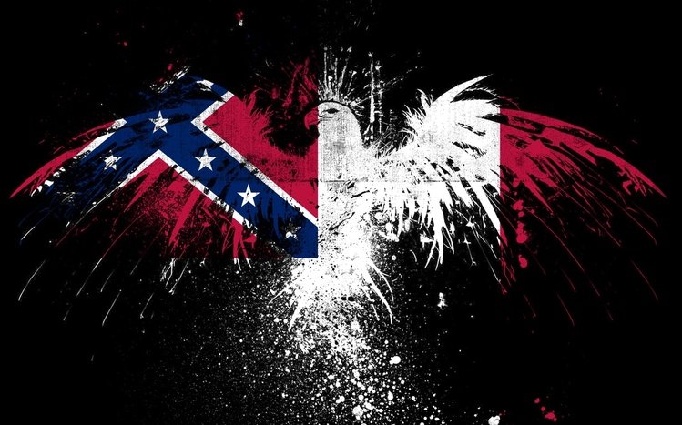 Rebel Flag Theme screenshot #5