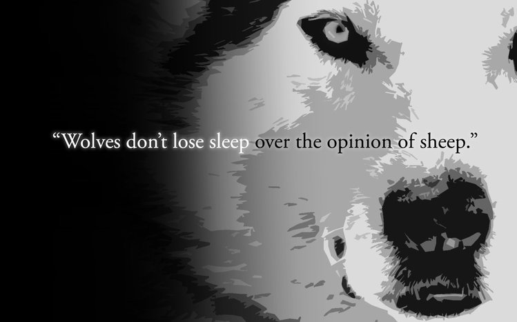 Quote Theme screenshot #18