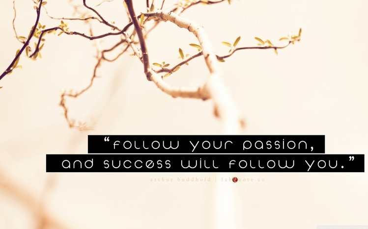 Quote Theme screenshot #5