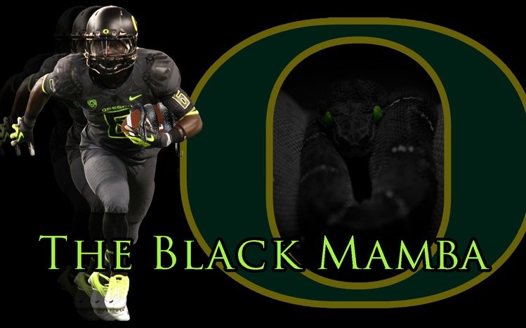 Oregon Ducks Theme screenshot #9