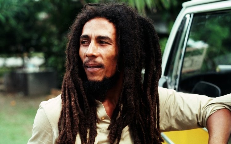 Bob Marley Theme screenshot #6
