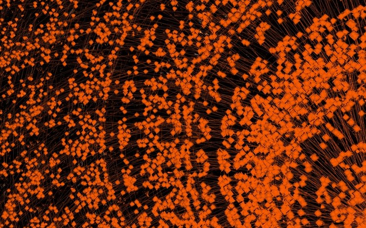 Orange Theme screenshot #11