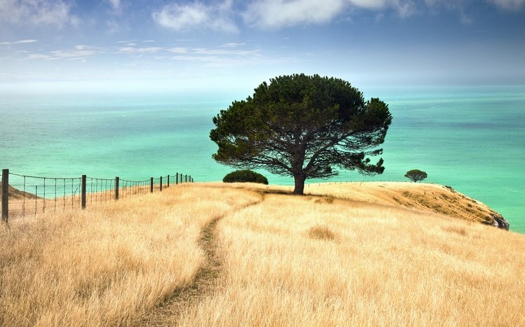 Landscape Theme screenshot #17