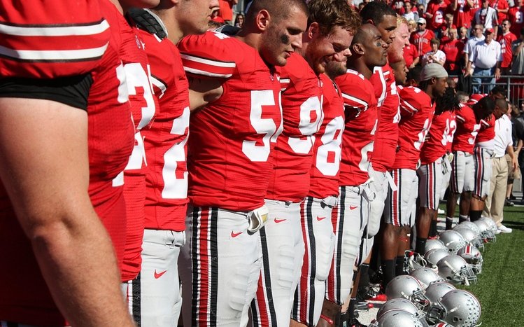 Ohio State Theme screenshot #13