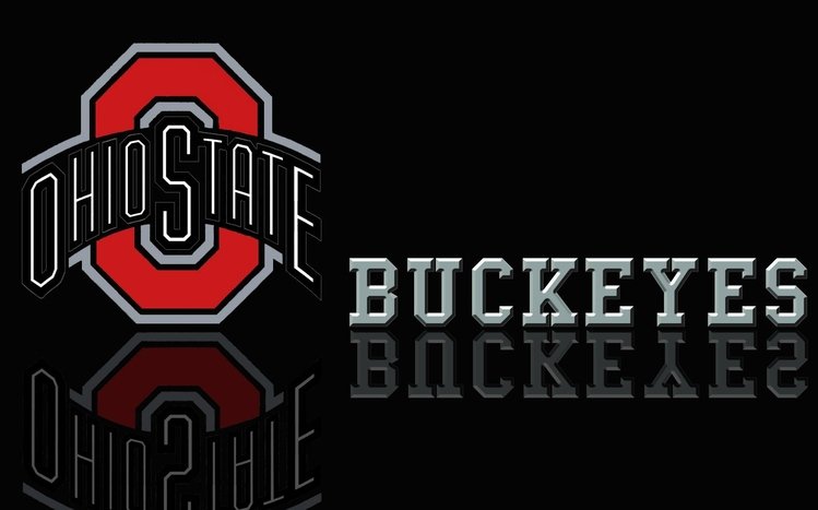 Ohio State Theme screenshot #3