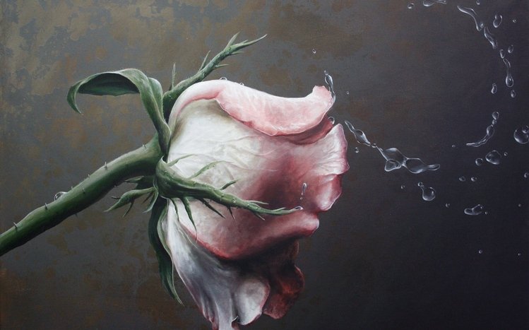 Rose Theme screenshot #14