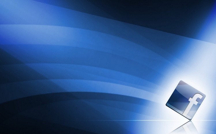 Facebook Theme screenshot #2