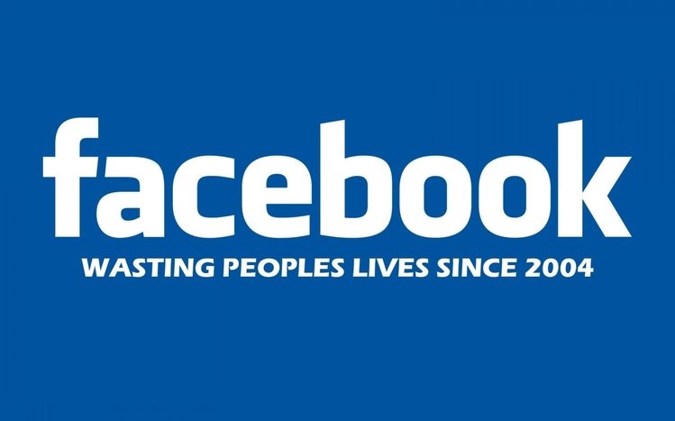 Facebook Theme screenshot #1