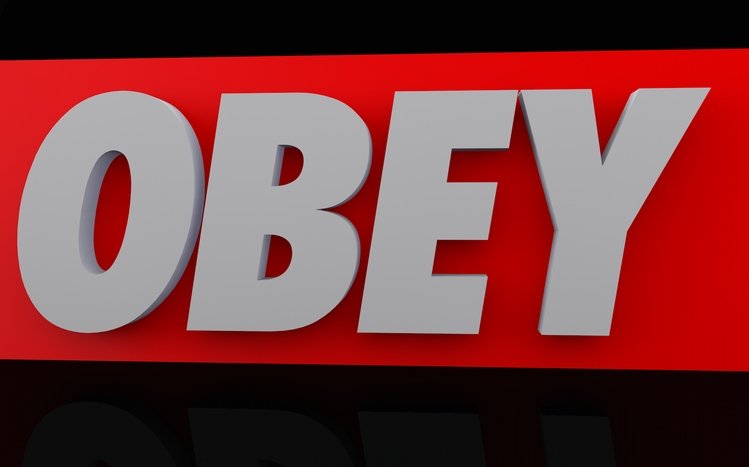 Obey Theme screenshot #8