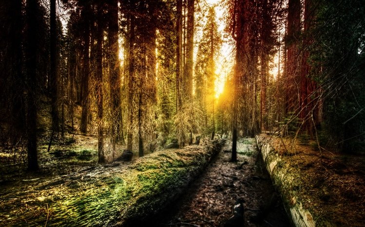 Yosemite Theme screenshot #16