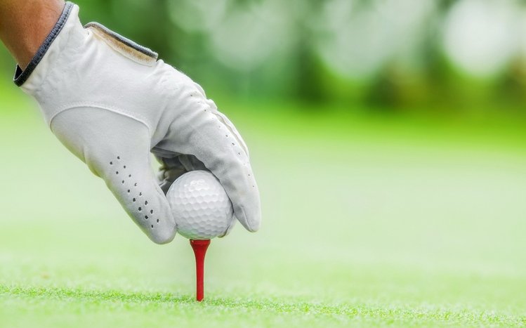 Golf Theme screenshot #10