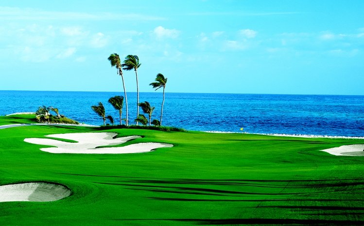 Golf Theme screenshot #13