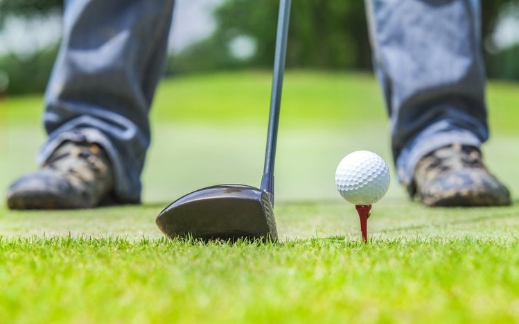 Golf Theme screenshot #11