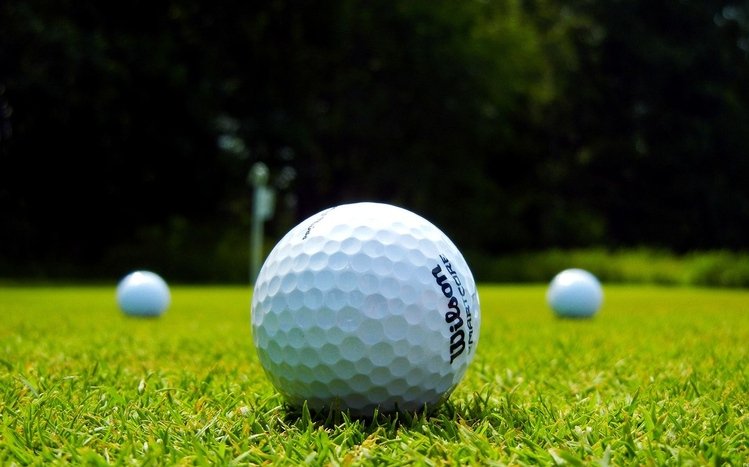 Golf Theme screenshot #3