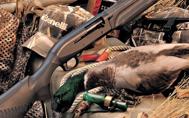 Hunting Theme screenshot #13