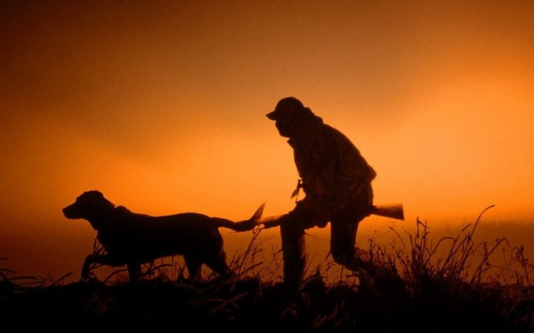 Hunting Theme screenshot #15