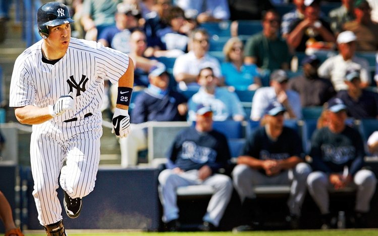 Yankees Theme screenshot #17