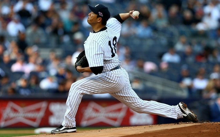 Yankees Theme screenshot #3