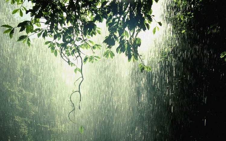 Rain Theme screenshot #14