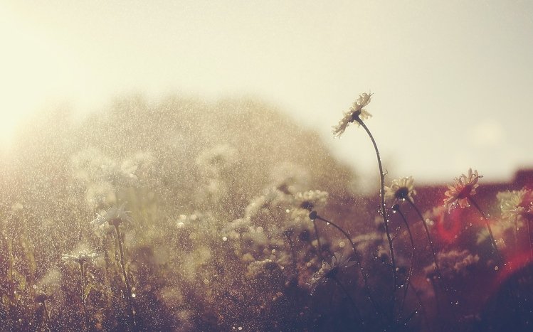 Rain Theme screenshot #15