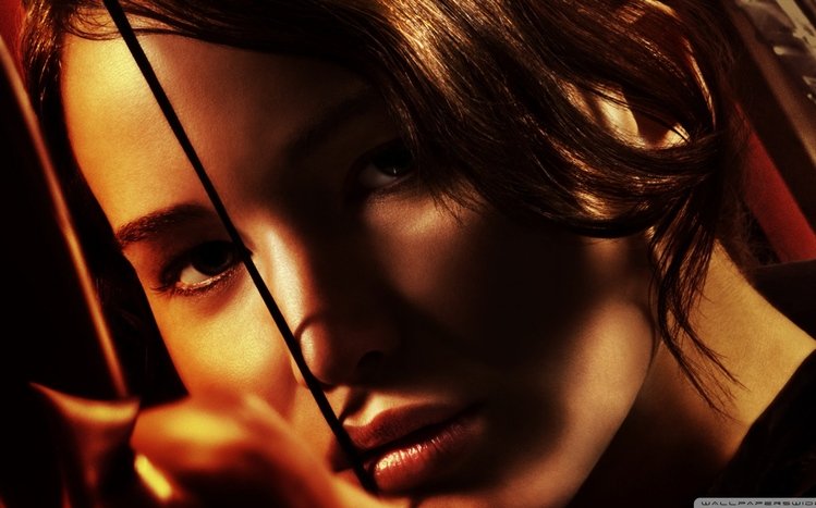 The Hunger Games Theme screenshot #16