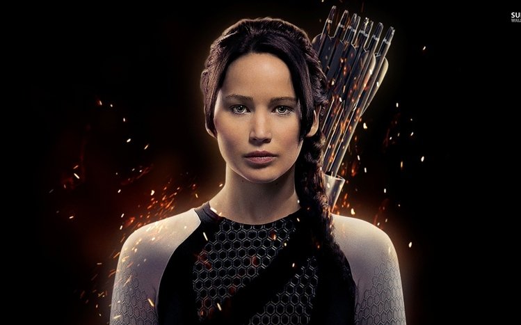 The Hunger Games Theme screenshot #15