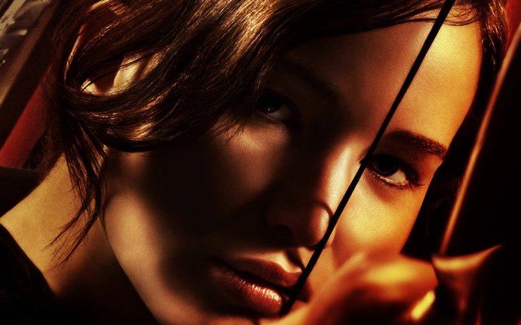 The Hunger Games Theme screenshot #1