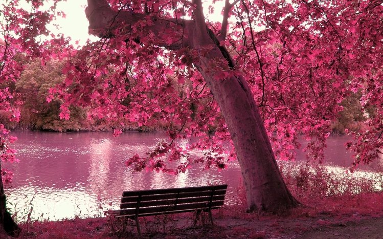 Pink Theme screenshot #3