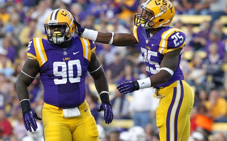 LSU Theme screenshot #11