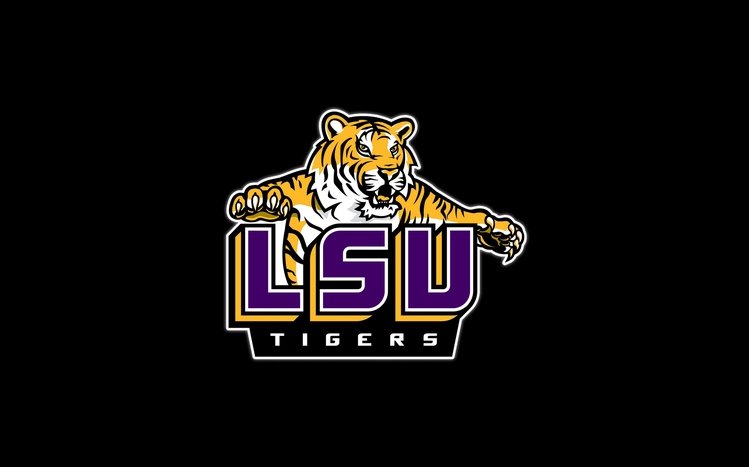 LSU Theme screenshot #1