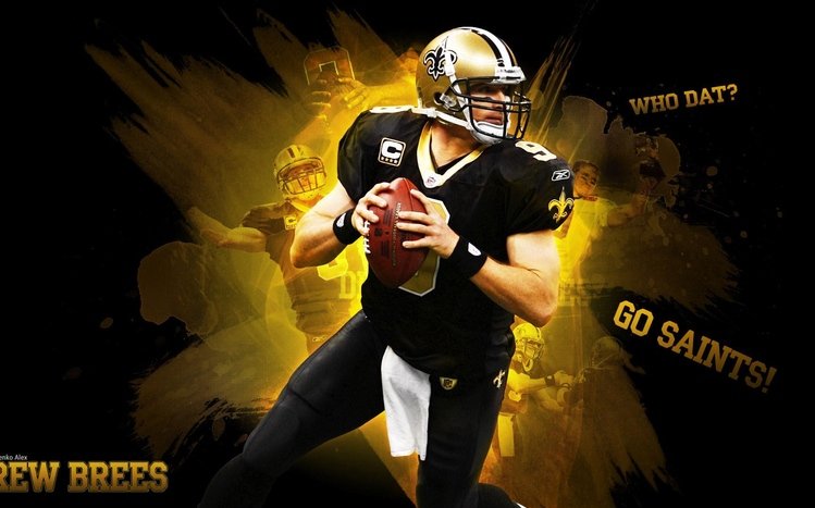 New Orleans Saints Theme screenshot #7