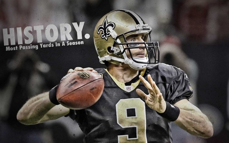 New Orleans Saints Theme screenshot #4