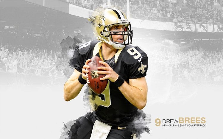 New Orleans Saints Theme screenshot #5