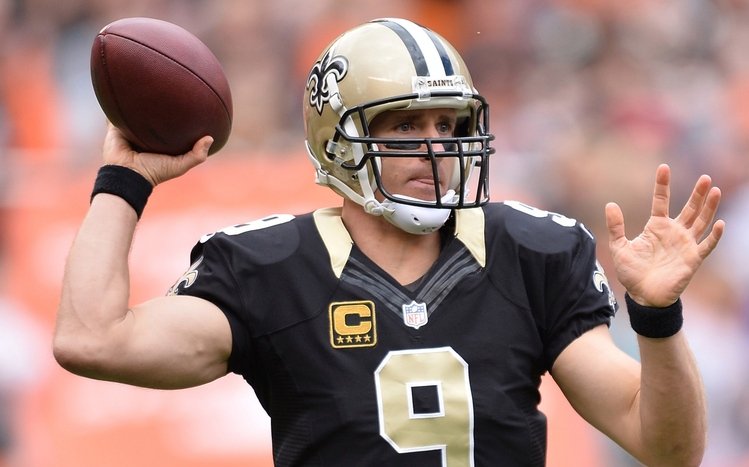 New Orleans Saints Theme screenshot #6