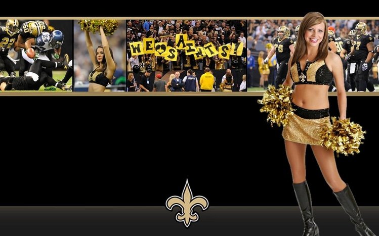 New Orleans Saints Theme screenshot #2