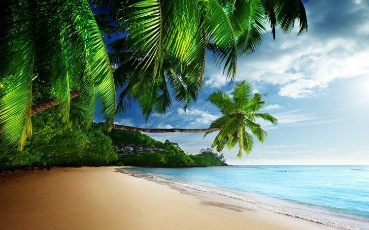 Tropical Theme screenshot #7